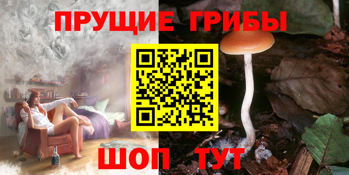 Псилоцибиновые грибы GOLDEN TEACHER Златоуст